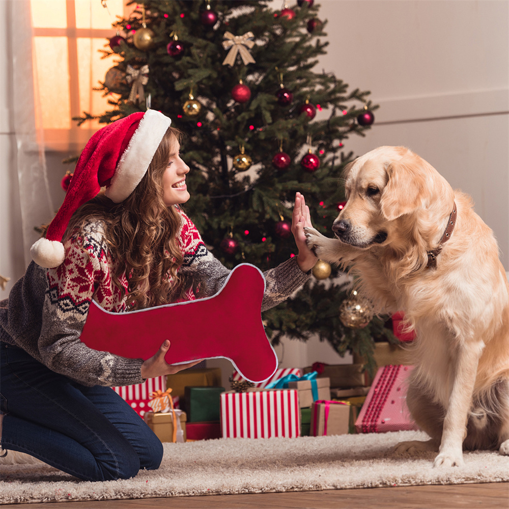 Calza di natale per cani in ve - Luxury Xmas Bags recensione e prezzo