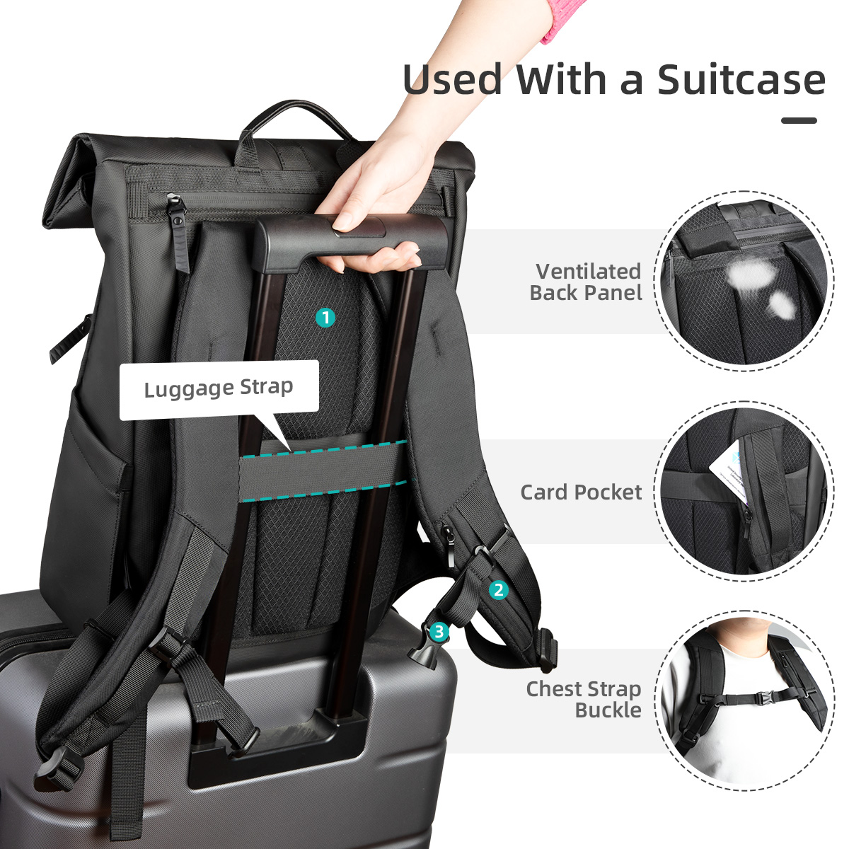 Heroic Knight Zaino rolltop di - Luxury Bags Coach recensione e prezzo